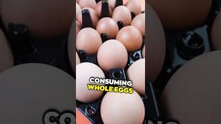 Are Eggs Bad For Cholesterol?  LiveLeanTV