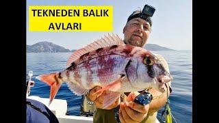 FANGRİ MERCAN AVI  MUĞLA