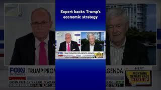 Trump will create a ‘dramatic burst of prosperity’ to America Gingrich #shorts