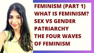 What is Feminism?  Waves of Feminism  Literary Theory