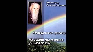 На земле мы только учимся жить. НЕПРИДУМАННЫЕ РАССКАЗЫ Протоиерей Валентин Бирюков