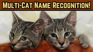 Do Cats Know Each Others Names?