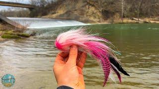 Fly Fishing for a True River Monster Musky Fishing