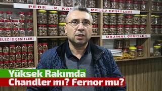 Yüksek Rakımda Chandler mı? Fernor mu?