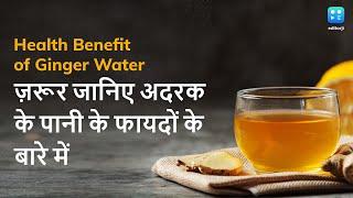 Health Benefits of Ginger Water ज़रूर जानिए अदरक के पानी के फायदों के बारे में