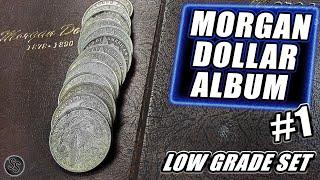 Low Grade Morgan Silver Dollar Set - Album Fill #1