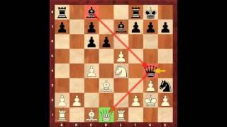 Chess for Beginners. Chess Openings #17. Scotch Game. Eugene Grinis. Chess