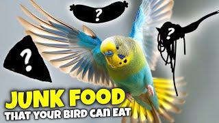 9 Human Foods you NEVER Knew Your Bird can Eat