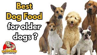 Best Dog Food for Older Dogs  Senior Nutrition Focus