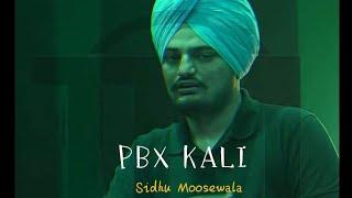 PBX Kali Sidhu Moosewala New Punjabi Song 2024 #sidhumoosewala #sidhumoosewalanewsong #punjabisongs