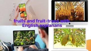 Fruits and fruit-trees English explanation