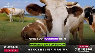 Qurbani 2024  Were so blessed to eat meat DAILY...