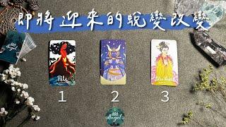 您即將迎來的蛻變轉變是?人生身心靈《塔羅占卜》Pick a card｜Angel808天使療癒花園｜獨門真源塔羅｜Mike Wu吳真源老師