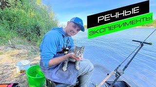 ФИДЕРНАЯ ЛОВЛЯ НА РЕКЕ  РЫБАЛКА НА ФИДЕР  FROS FISHING