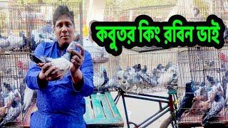 কবুতর জগতের সম্রাট রবিন ভাই   Robin Vai Pigeon King