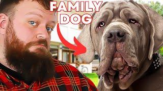 Best Dog Breed For Young Families