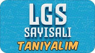 LGS Sayısalı Tanıyalım  Hangi Konular Daha Önemli #LGS2025