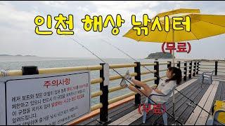 Sea fishing in the city subtitles