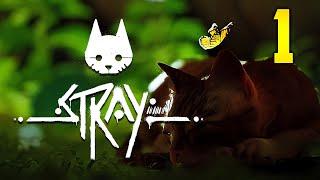 Stray  Episode 1 – Inside the Wall