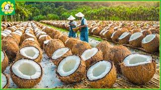 Farming Documentary  Harvest Coconuts - Coconut OIL Production Process at The Factory