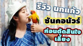 รีวิวนกแก้วซันคอนัวร์ ก่อนตัดสินใจเลี้ยง ดีไหม