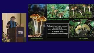 Paul Stamets Psilocybin Mushrooms & The Mycology of Consciousness