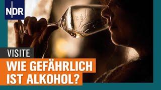 Alkohol und Gesundheit Wie gefährlich ist das Trinken wirklich?  Visite  NDR