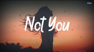 Not You - Alan Walker x Emma Steinbakken  Lirik & Terjemah
