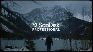 SANDISK PROFESSIONAL PRO-BLADE - WORKFLOW