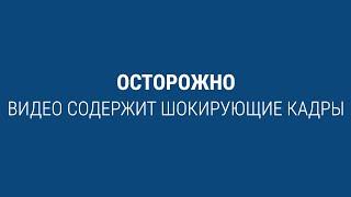 80 лет назад в Бабьем Яре начались массовые расстрелы евреев