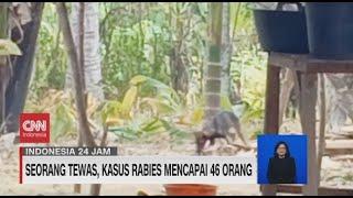 Seorang Tewas Kasus Rabies Mencapai 46 Orang