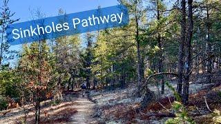 A Hike Along The Sinkholes Pathway  Presque Isle County Michigan