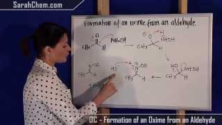 Formation of an Oxime from an Aldehyde