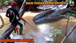 Kemunculan Orang Ini Benar Benar Membuat Si Ikan Toman Ketar Ketir