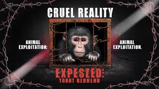 The Cruel Reality of Animal Exploitation Exposing the Truth of Monkey @NatGeo