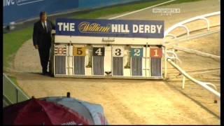 Greyhound Derby Final 2010