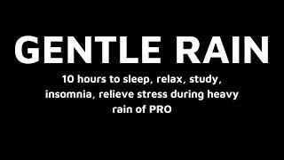 GENTLE RAIN  10 hour to sleep relax study insomnia relieve stress during heavy rain of PRO