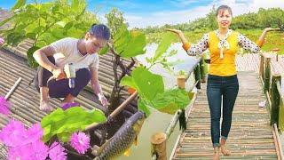 Building Bamboo Bridge To Cabin - Vietnamese Girl Build Dream  Tiểu Ca Daily Life