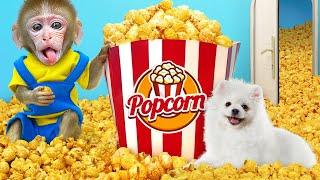 KiKi Monkey eat Popcorn with puppy and Duckling in garden and taste fruits Jelly  KUDO ANIMAL KIKI