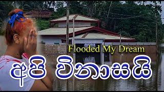 අපි විනාසයි හැම දේම වතුරට ගියා  Flooded Our Home Pl Save Us #nilminisheron #Hotmom #DNY