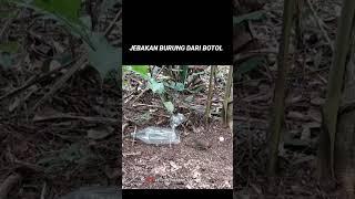 JEBAKAN BURUNG DARI BOTOL AQUA