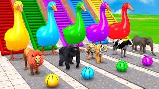 Basket Ball Game Game With Cow Elephant Gorilla Tiger Lion Dinosaur Wild Animals Escape Cage Game