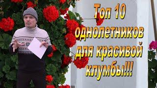 ТОП 10 однолетних цветов для клумбы Эти цветы мы сеем ВСЕГДА.