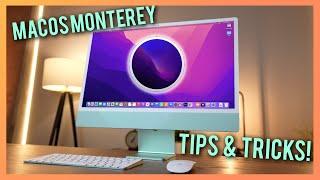 MacOS Monterey Tips & Tricks & Hidden features