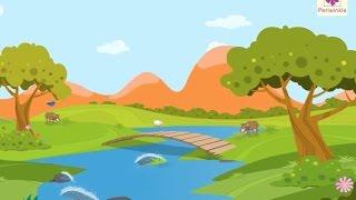 What is Environment And How To Keep It Clean?  Environmental Studies For Kids  Vid #1