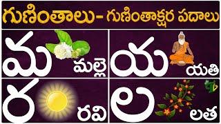 Guninthalu Guninthakshara Padalu  మ య ర ల గుణింత పదాలు  Ma Ya Ra La Gunintha Padalu Telugu Vanam