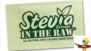 Does Stevia Raise Your Blood Sugar?