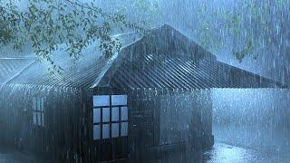 The Dance of Thunder and Terrible Rain on The Corrugated Iron Roof Helps You Fall Asleep Immediately