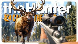 Hunting only the THICCEST animals 200k celebration vid  theHunter Call of the Wild