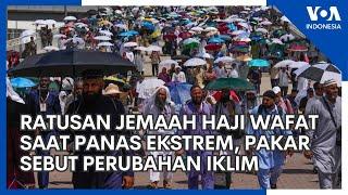 Ratusan Jemaah Haji Wafat Saat Panas Ekstrem Pakar Sebut Perubahan Iklim